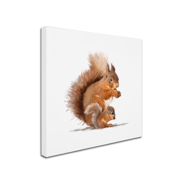 The Macneil Studio 'Squirrel' Canvas Art,24x24